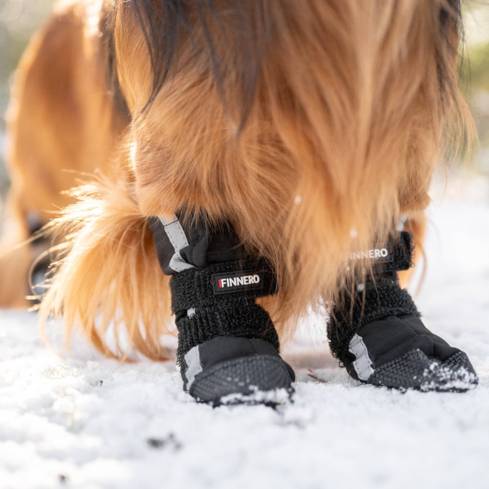 Finnero Halla Softshell hundsko XL (4-pack) - 3