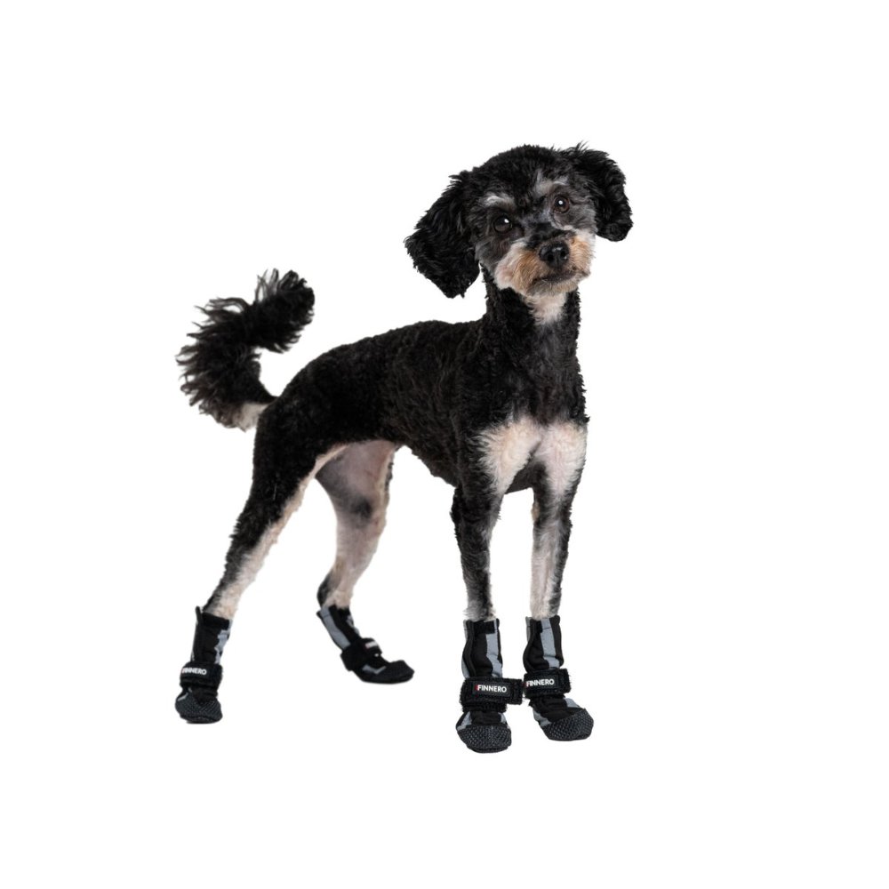 Finnero Halla Softshell hundsko XL (4-pack) - 5