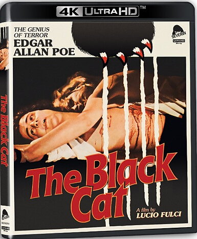 Black Cat (BLU-RAY 4K ULTRA HD + BLU-RAY)