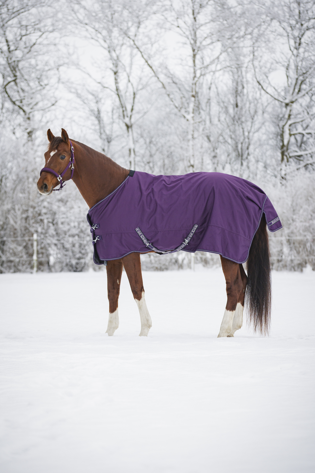 HorseGuard Landon 1200D 100g Turnout dekken standard hals Purple Pennant  105-165 cm - 4