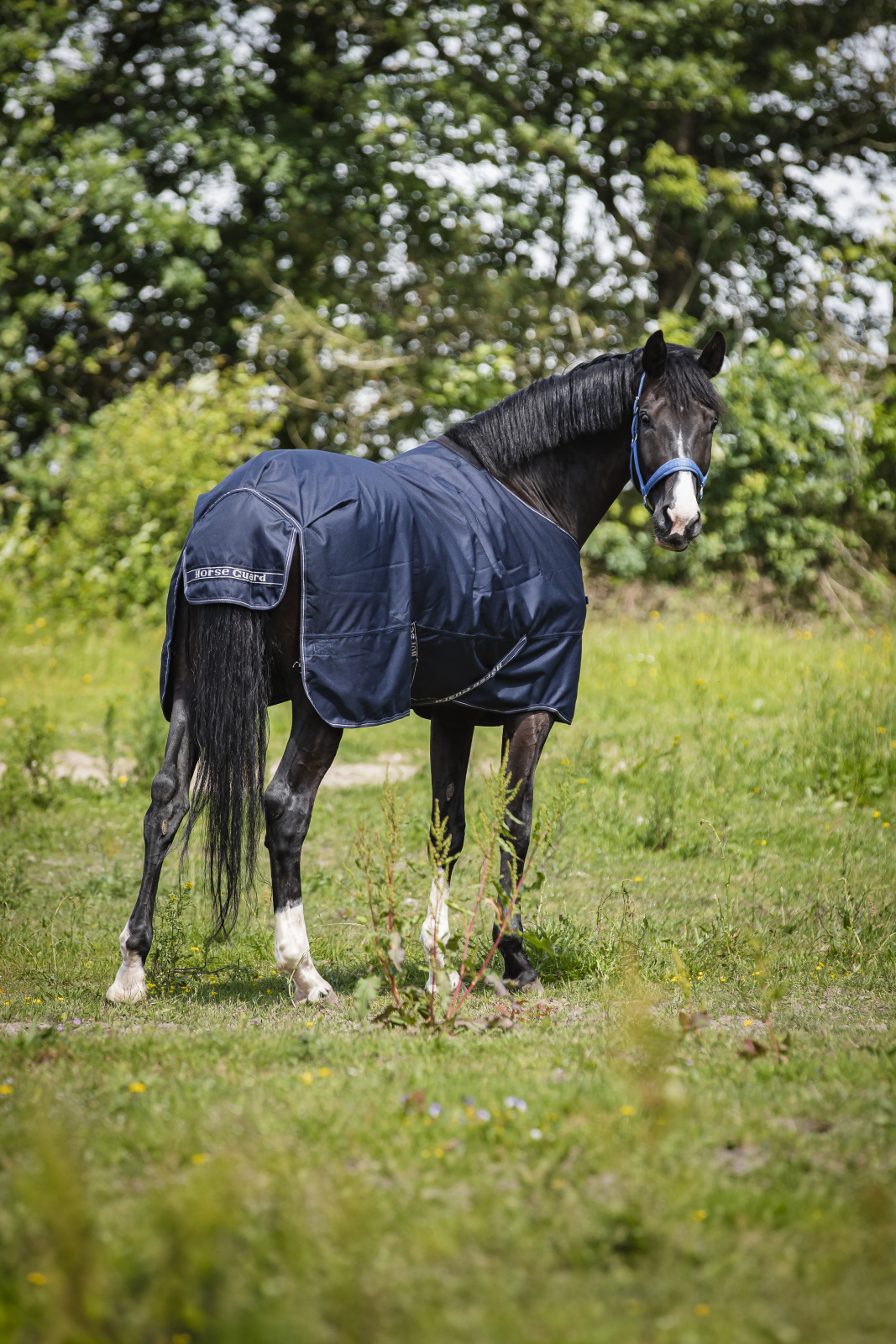 HorseGuard Landon 1200D 100g Turnout dekken standard hals Navy  105-165 cm - 2