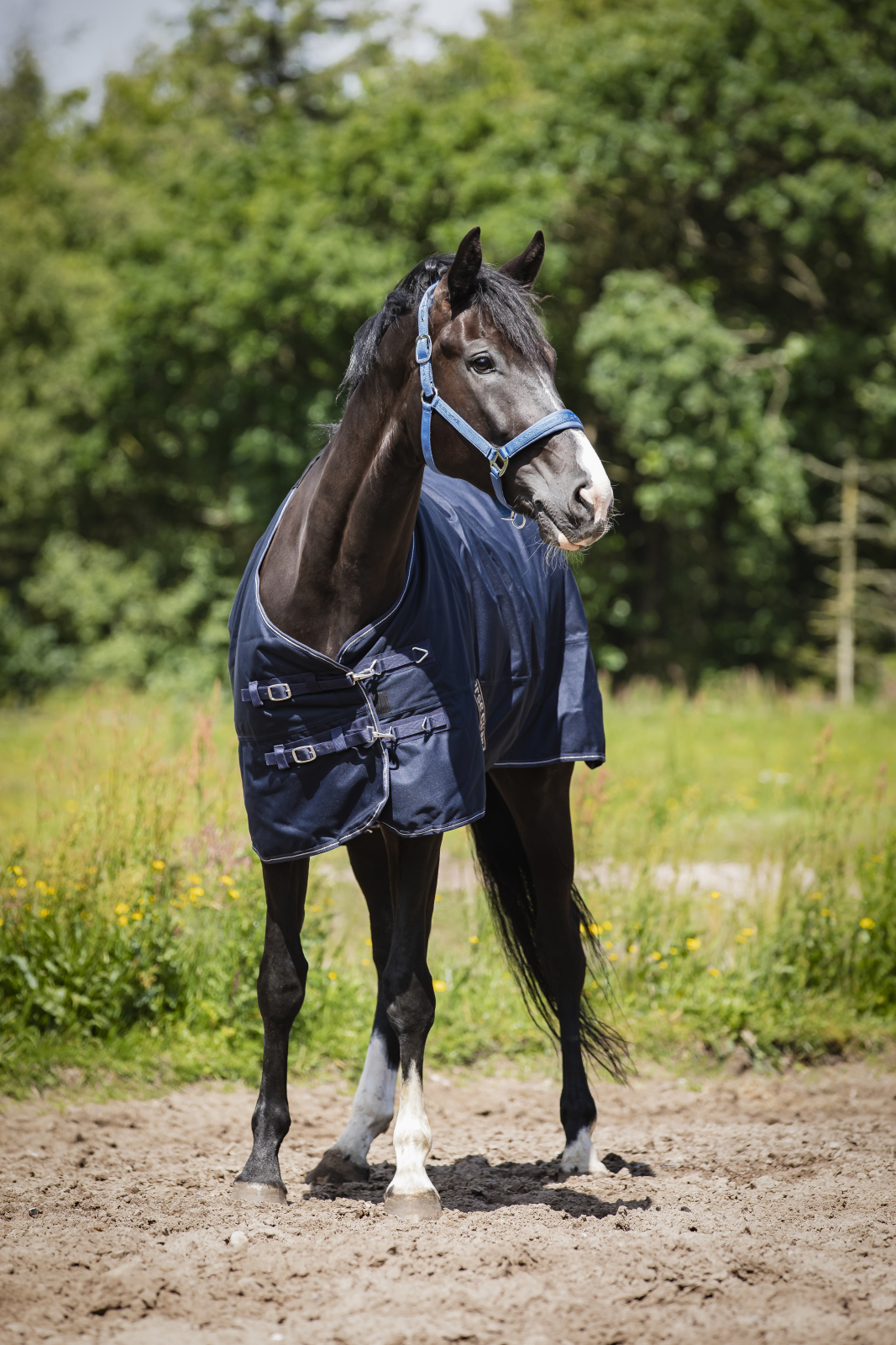 HorseGuard Landon 1200D 100g Turnout dekken standard hals Navy  105-165 cm - 3