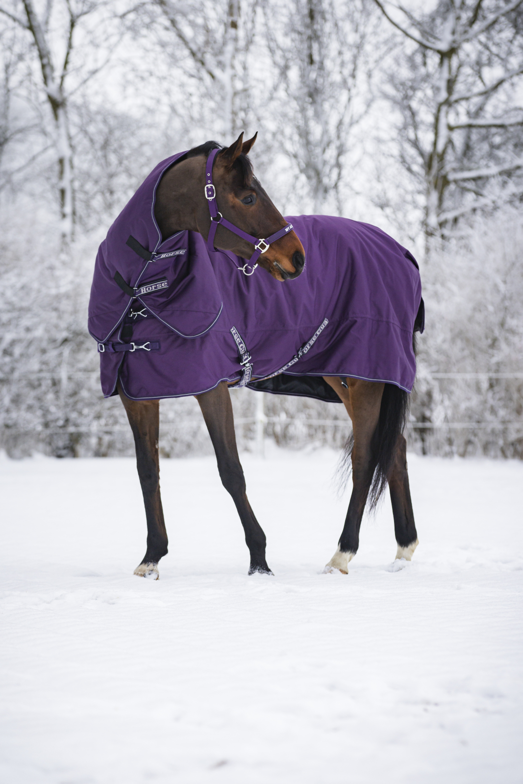 Horse Guard Millan 200g inkl avtagbar hals Purple Pennant 105-165 cm - 3