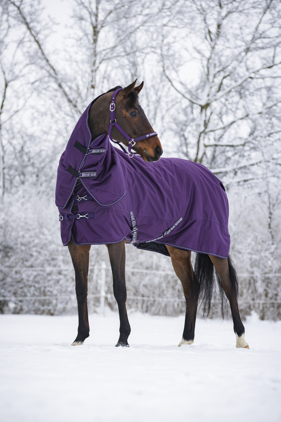 Horse Guard Millan 200g inkl avtagbar hals Purple Pennant 105-165 cm