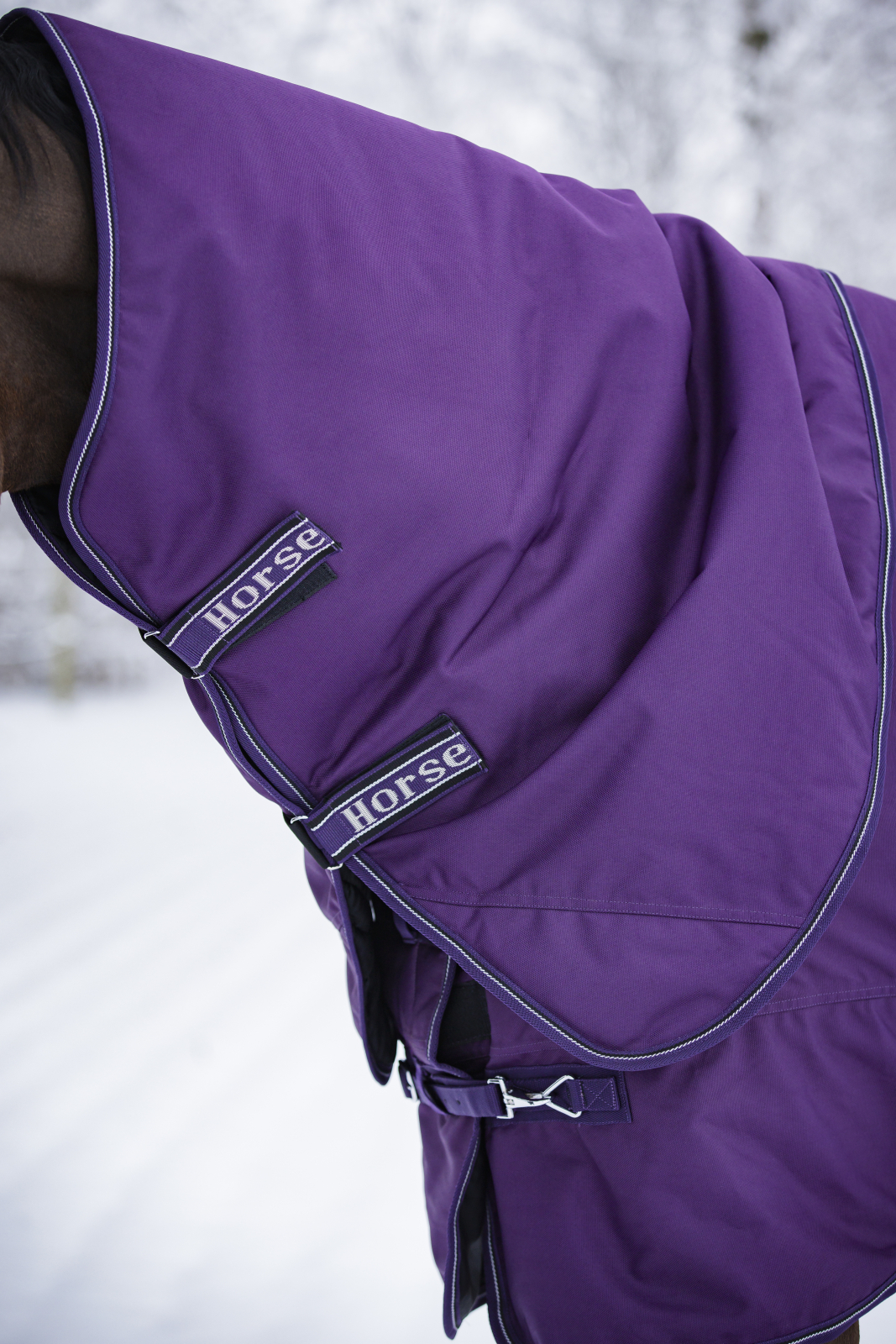 Horse Guard Millan 200g inkl avtagbar hals Purple Pennant 105-165 cm - 5