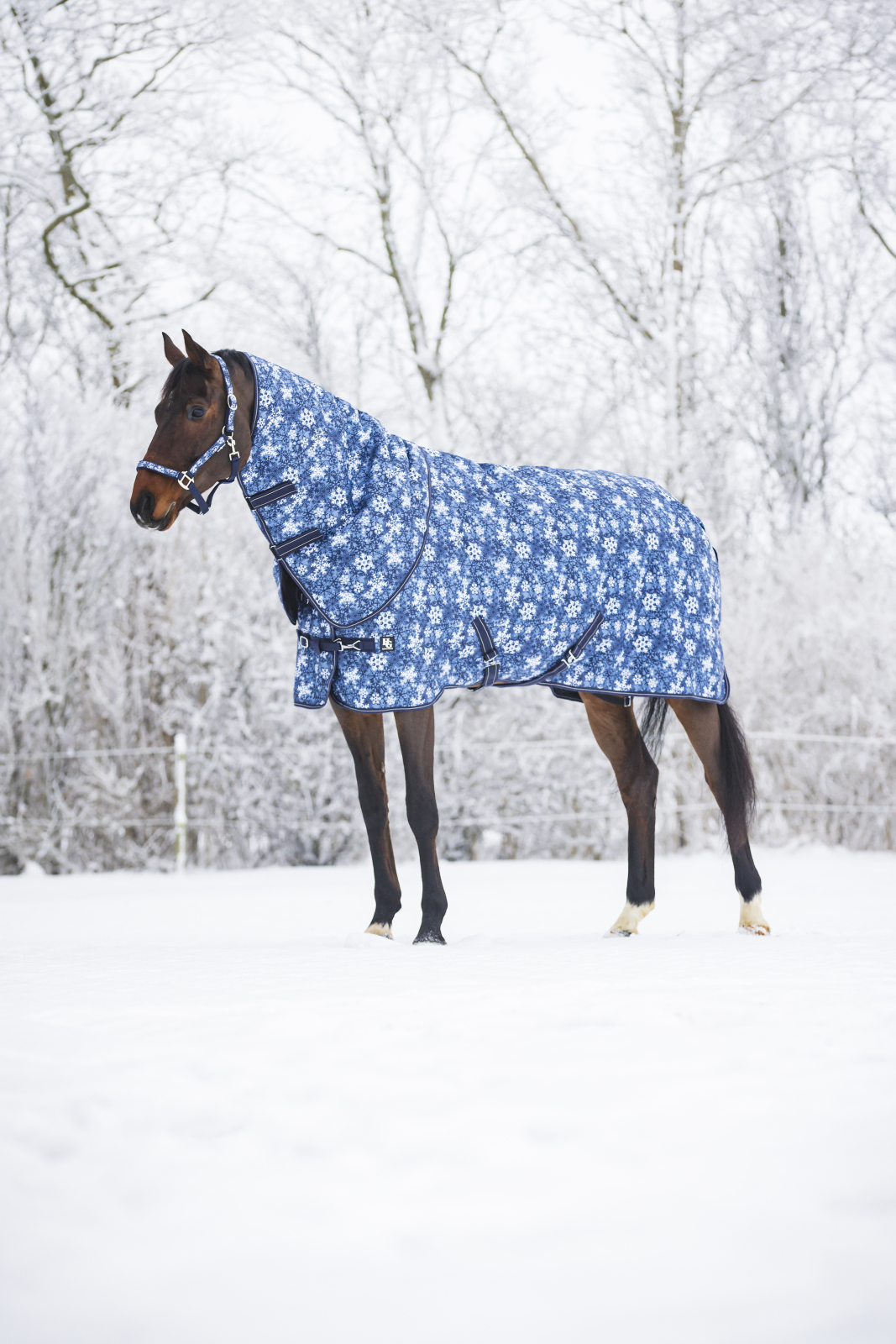 Horse Guard Snowflake  200g inkl avtagbar hals 105-165 cm - 3