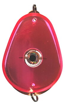 Plexi-Flash