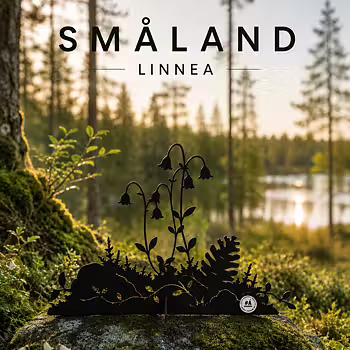 Linnea, Svart- Älskaplåt 