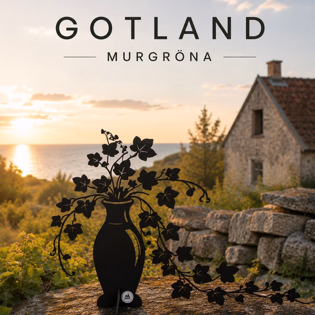 Murgröna, Svart- Älskaplåt  - 3
