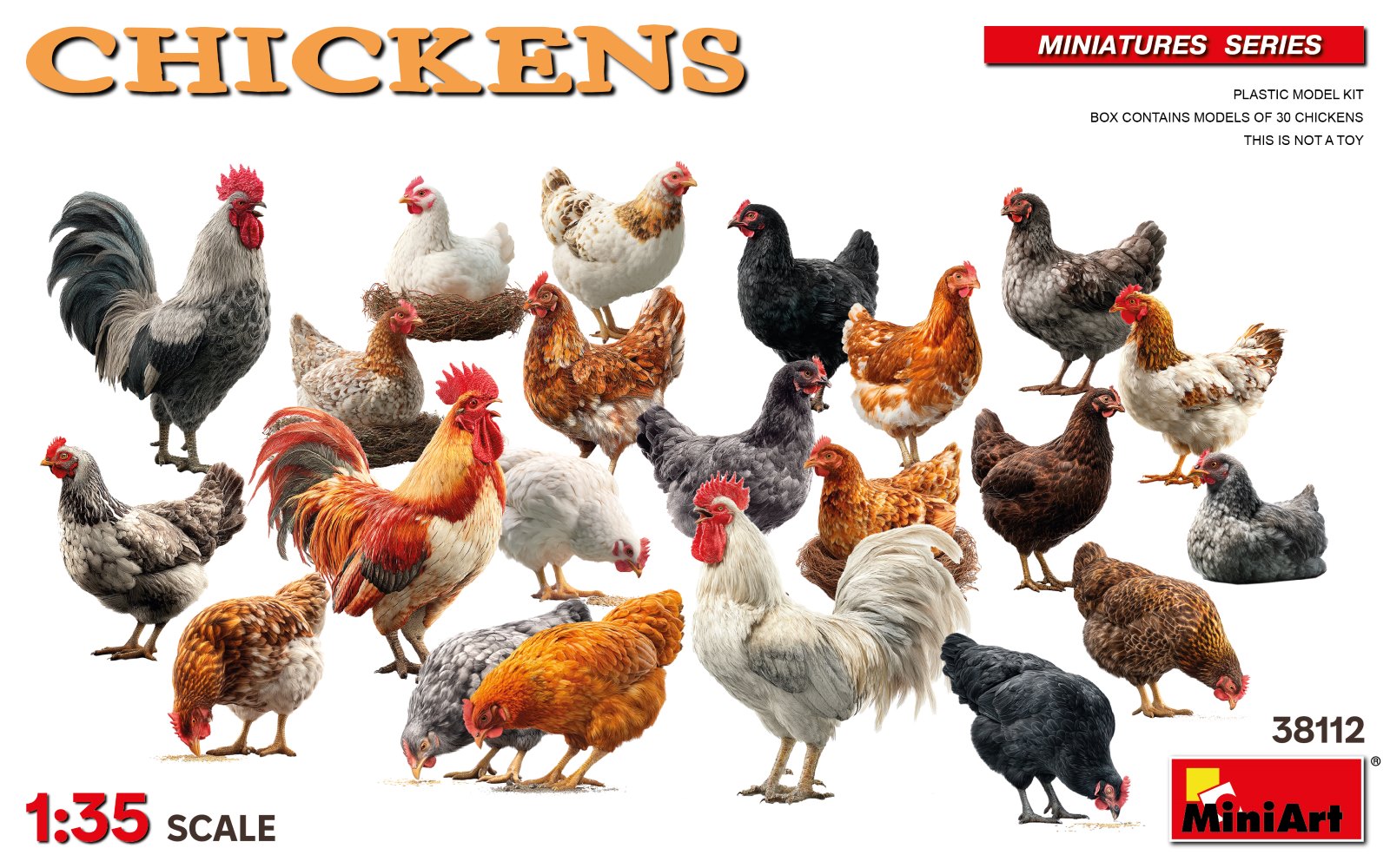 1/35 Chickens