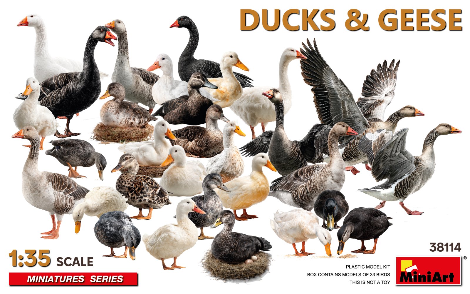 1/35 Ducks & Geese
