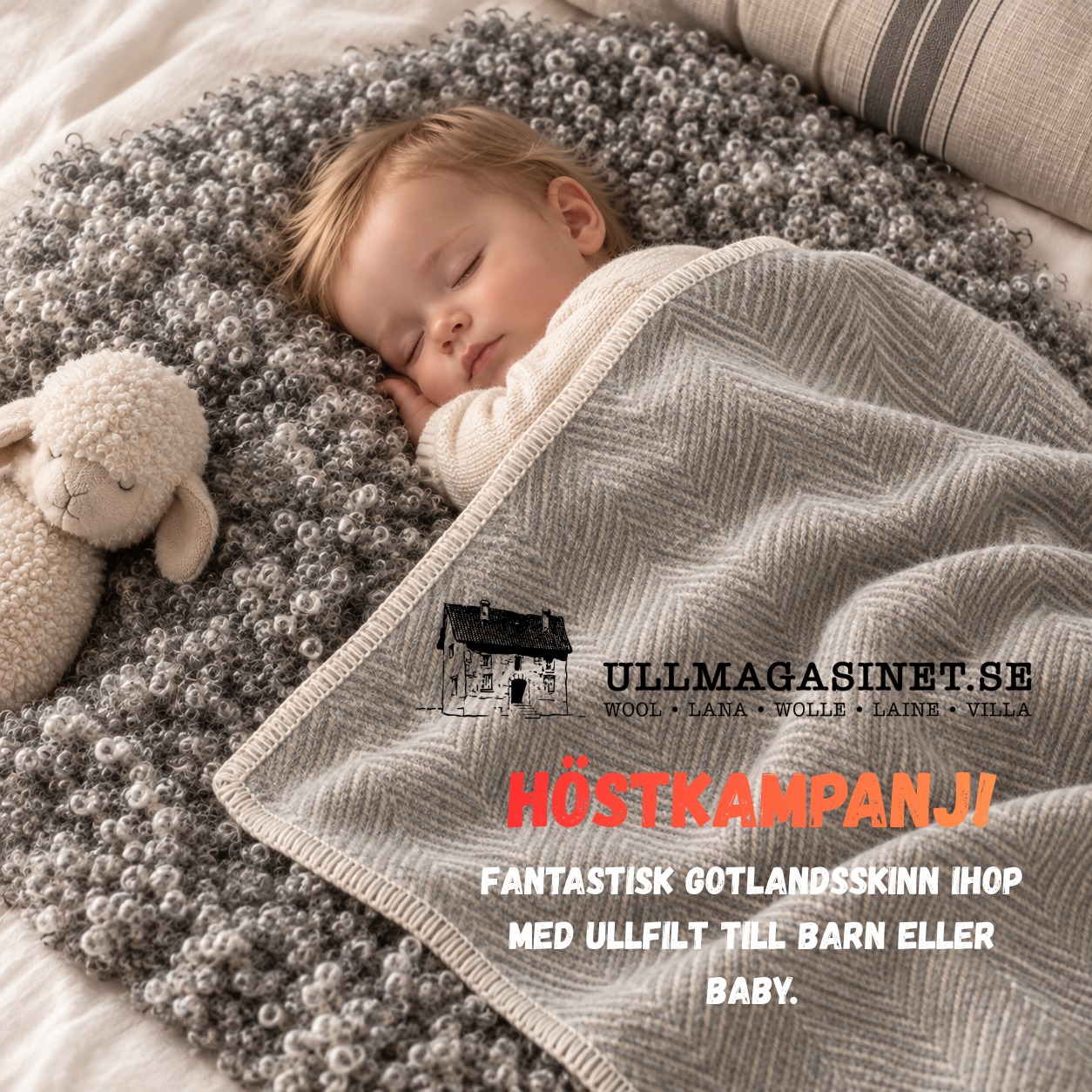Baby paket Gotland Delux - Gotlandsfäll med Ullfilt - 9