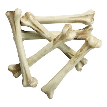 Skelettben Halloween 18 cm i 6-pack