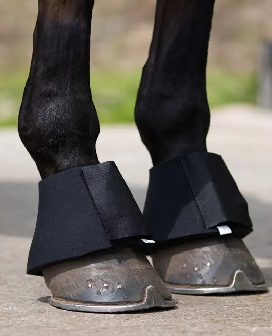QHP Neoprene Boots Svarta - 3
