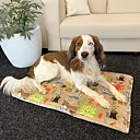 Mattress for the dog & cat