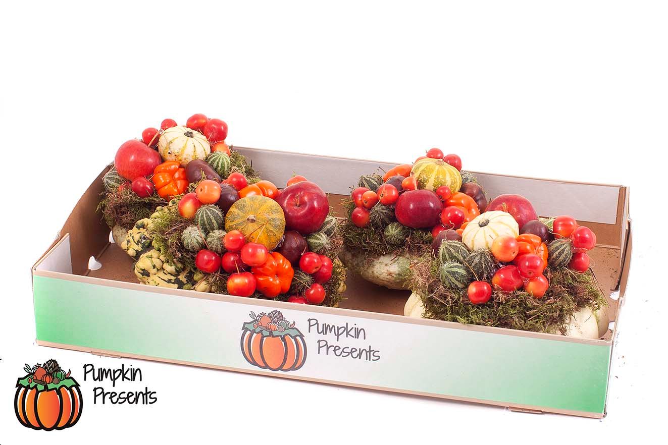 Cucurbita Medium arr