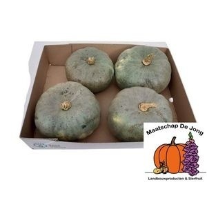 Cucurbita pepo 'Jarrahdale' 