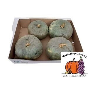 Cucurbita pepo 'Jarrahdale' 