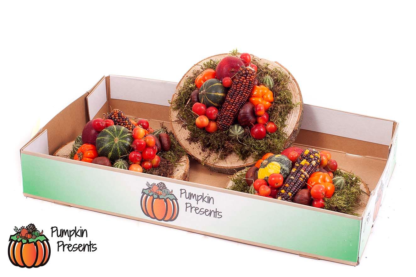 Cucurbita On wood arr