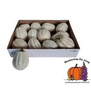 Cucurbita pepo 'Baby Boo'