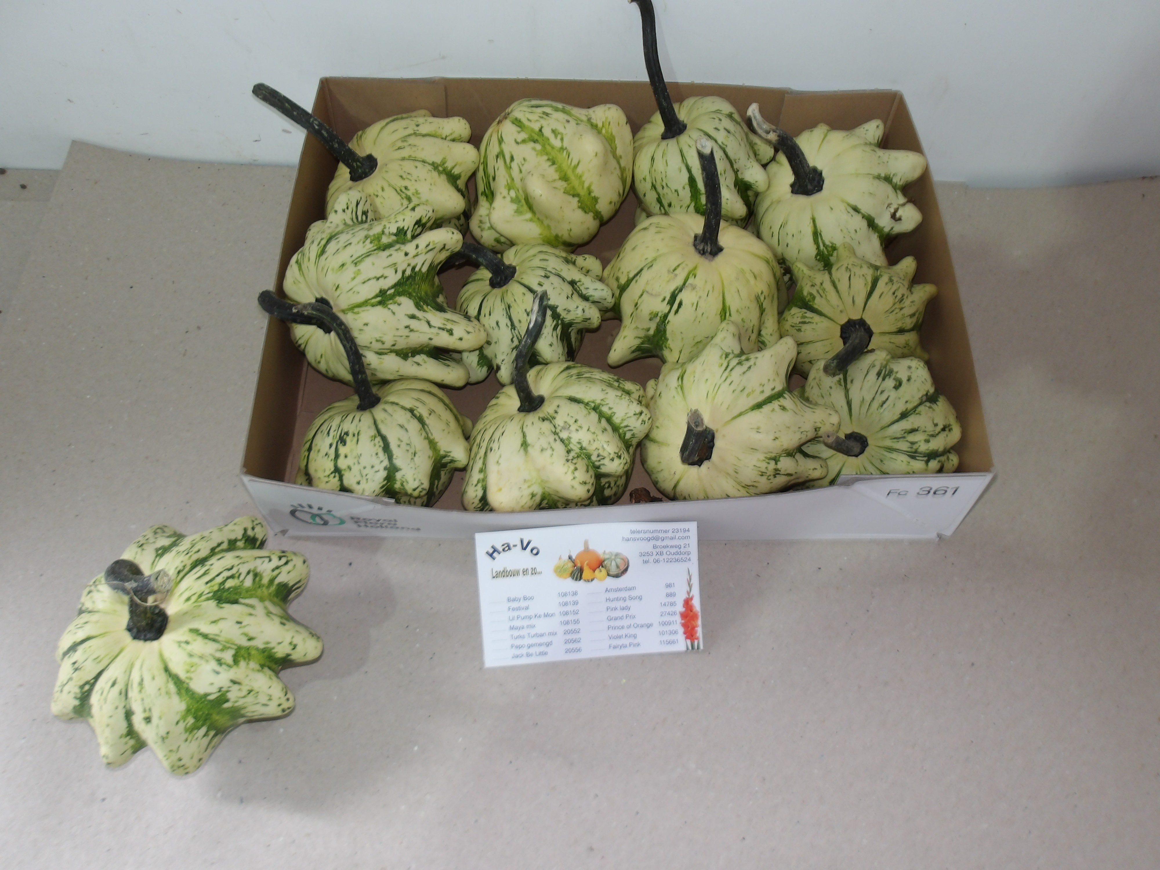 Ornamental fruits a piece