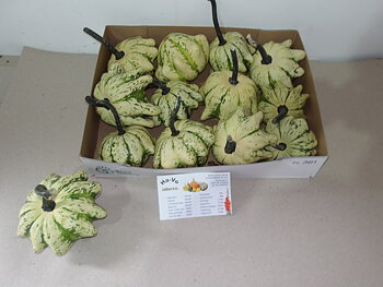 Ornamental fruits a piece