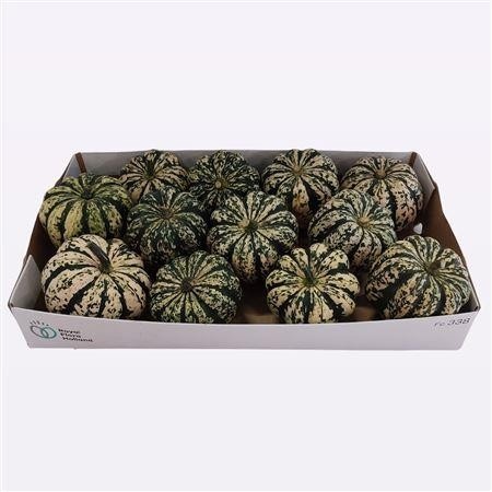 Ornamental fruits a piece