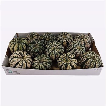 Ornamental fruits a piece