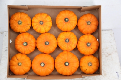Ornamental fruits a piece