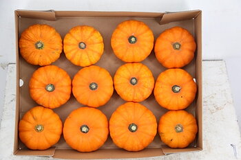 Ornamental fruits a piece