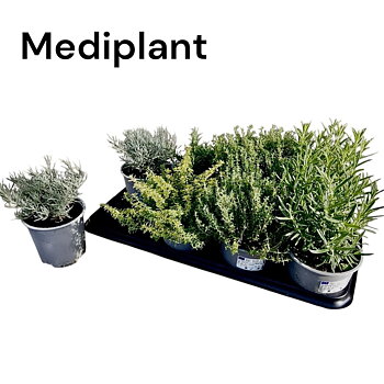 Gardenherbs mix