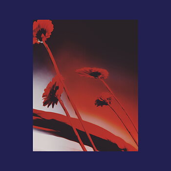 Va - Nothing Ever Was: Compiled by DJ Sundae 