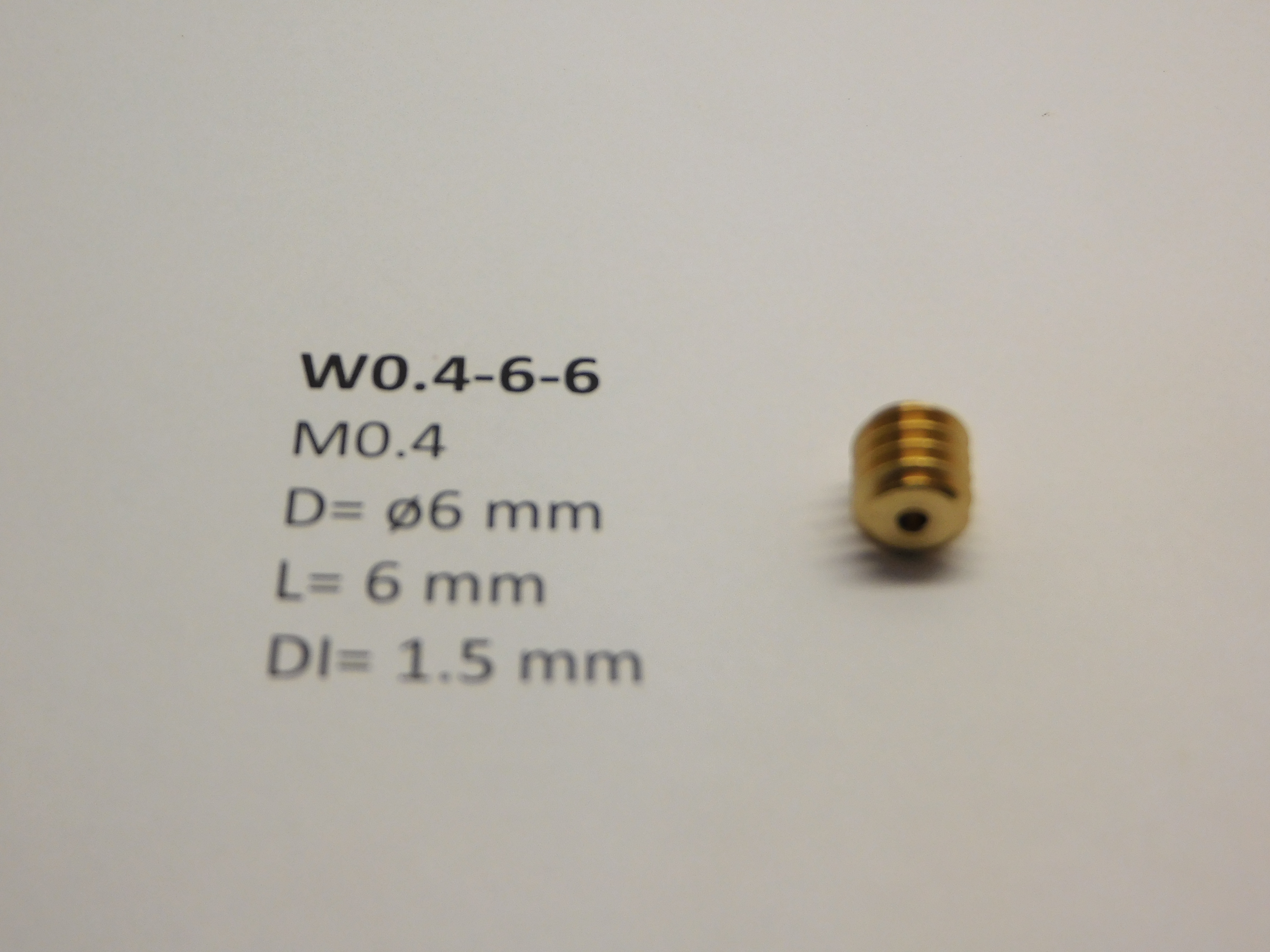 Snäckdrev M0.4 D=ø6 L=6 DI=1.5 mm