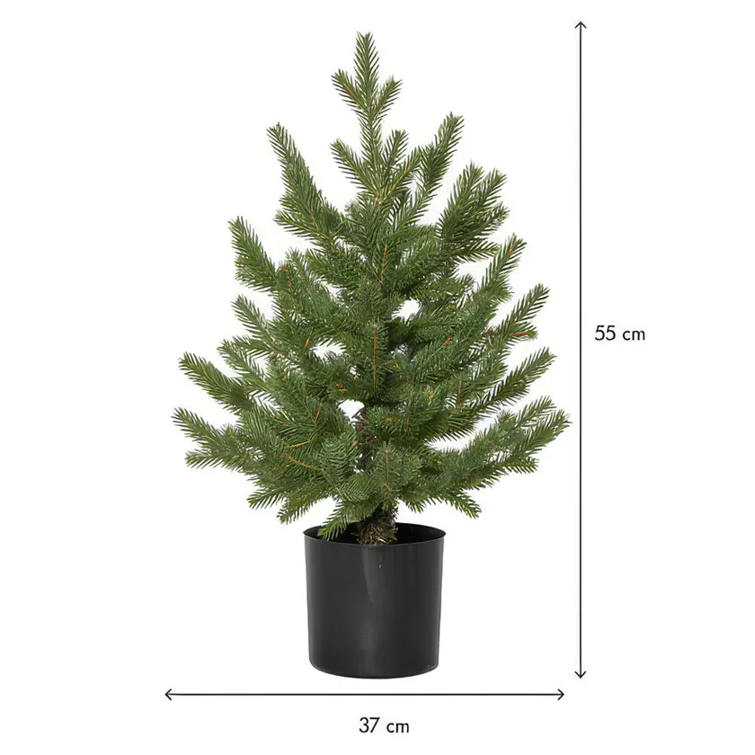 Dekorationsträd Granboda 55cm - 3