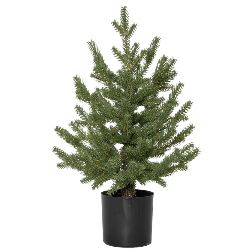 Dekorationsträd Granboda 55cm