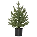 Dekorationsträd Granboda 55cm
