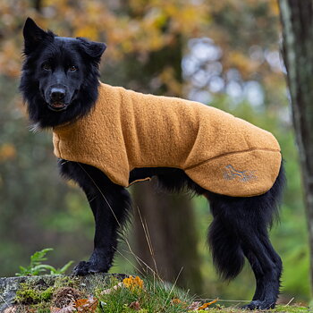 Warmwool Double – our warmest wool dog coat (Yellow ochre)