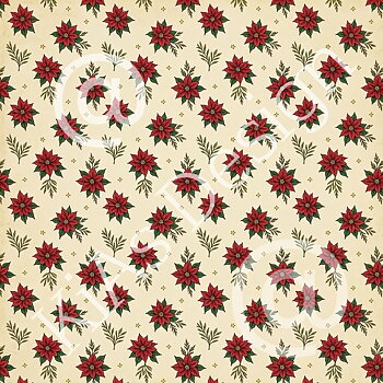 MP KD CC 011 14x14 cm -Mindre poinsettia med flera blad 