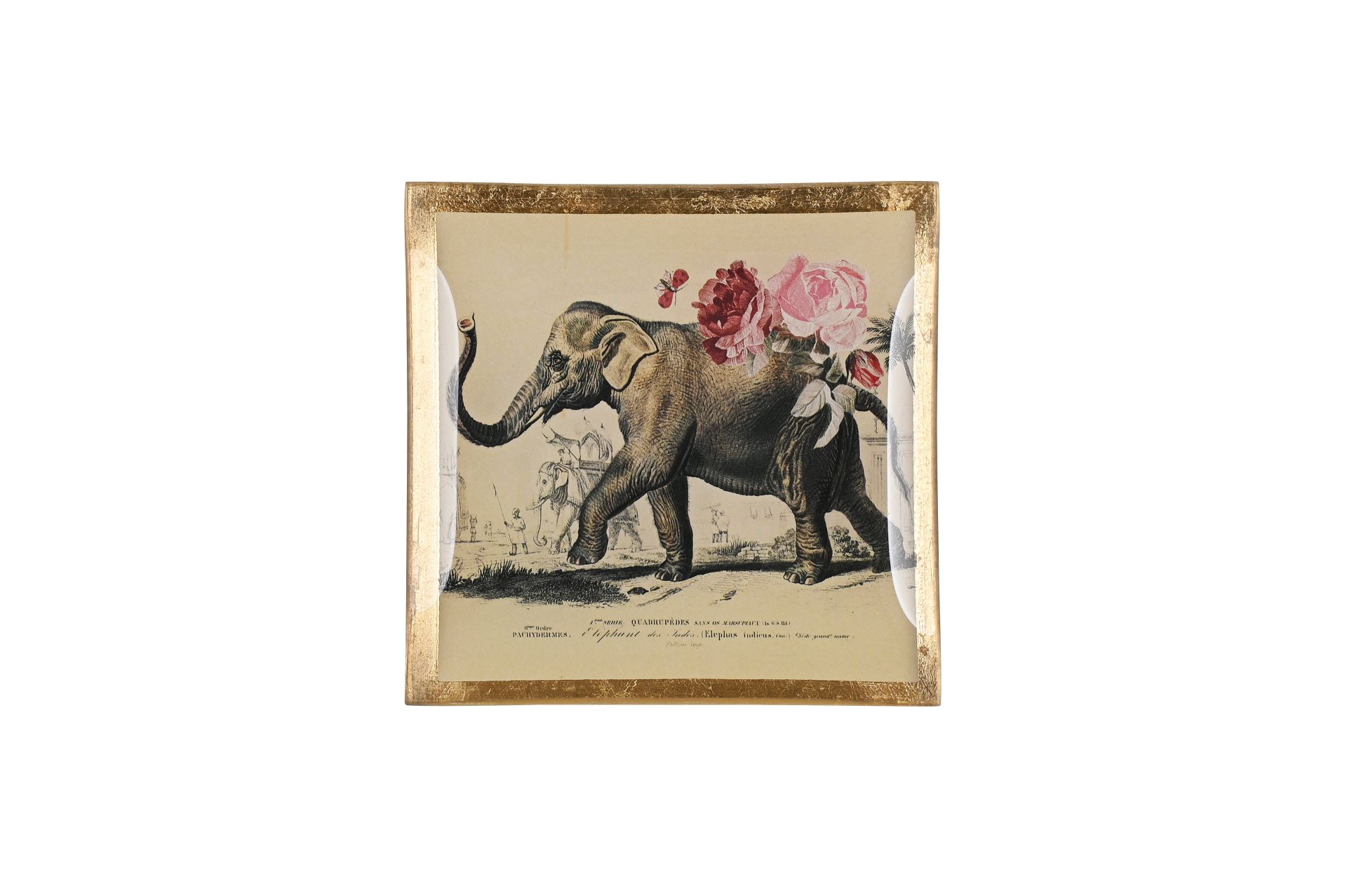 Glass plate "Elephant"