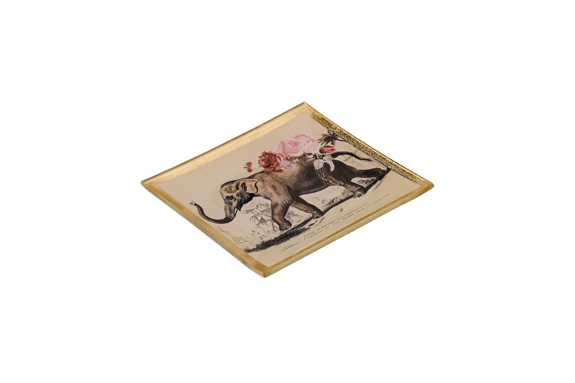 Glass plate "Elephant" - 2