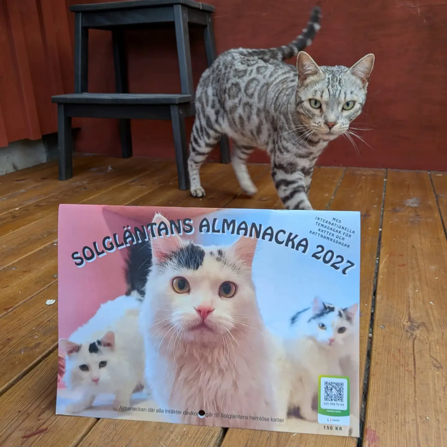 Stödmedlem 2027  i Ideella föreningen "Stöd Solgläntans hemlösa katter" - 2