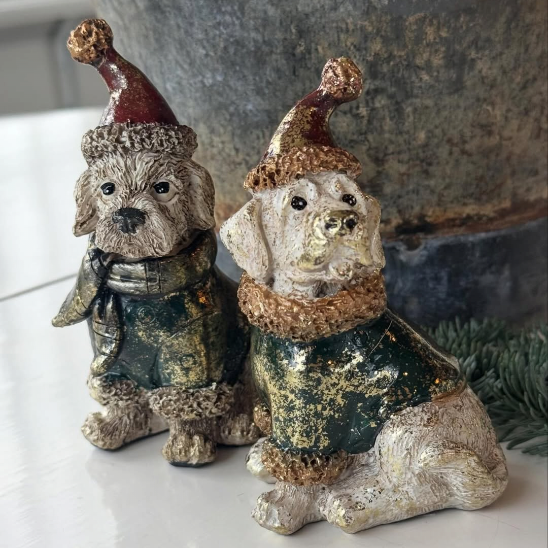 Hund med luva - 2