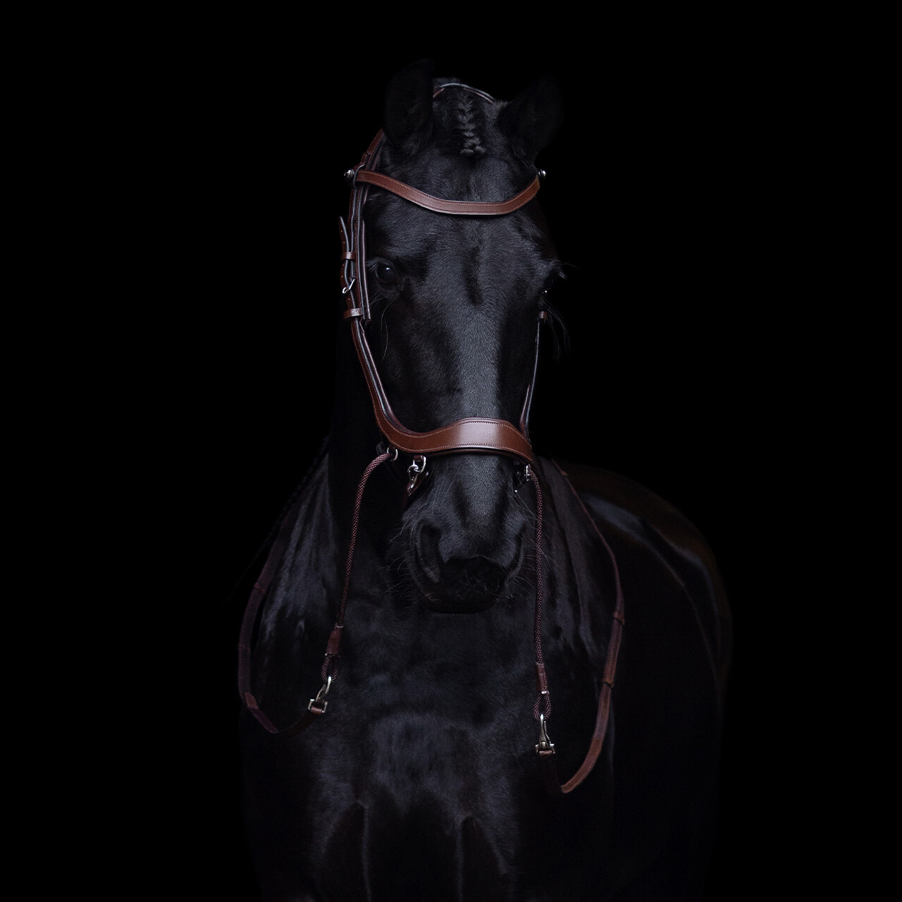 Bitless Bridle / Sidepull PresTEQ Faysport Anatomical, brown - 6