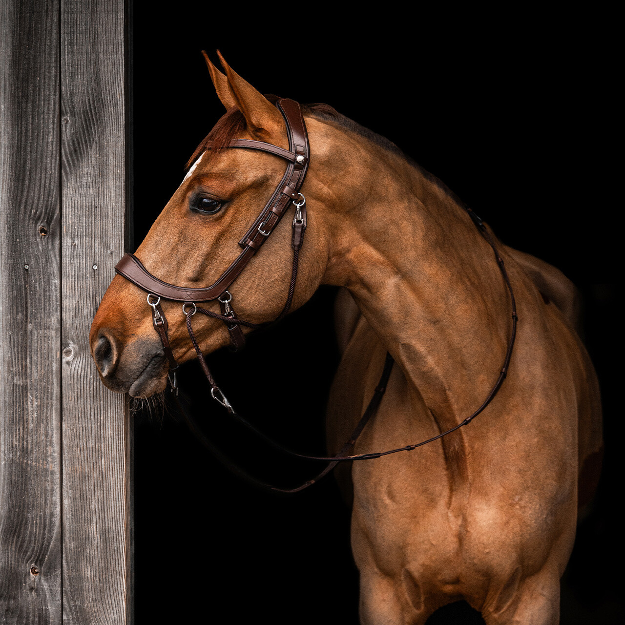 Bitless Bridle / Sidepull PresTEQ Faysport Anatomical, brown