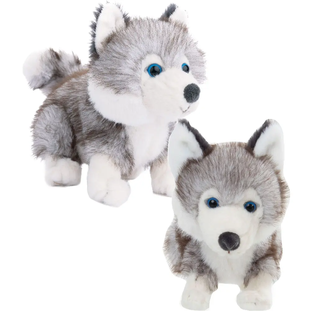 Bukowskihund Baby Husky