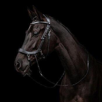 Sidepull / Crossunder Bitless Bridle, PresTeq Faysport - 3-i-1, svart