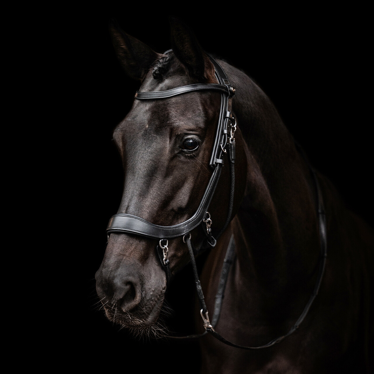 Bitless Bridle / Sidepull PresTEQ Faysport Anatomical, black - 7