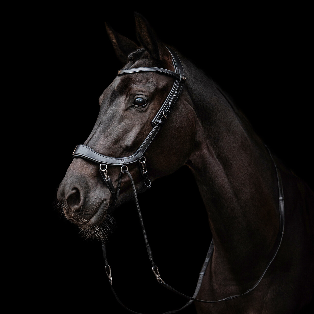 Bitless Bridle / Sidepull PresTEQ Faysport Anatomical, black - 16
