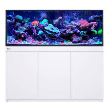 Red sea Reef-Frame akvarium - 2