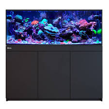 Red sea Reef-Frame akvarium - 5
